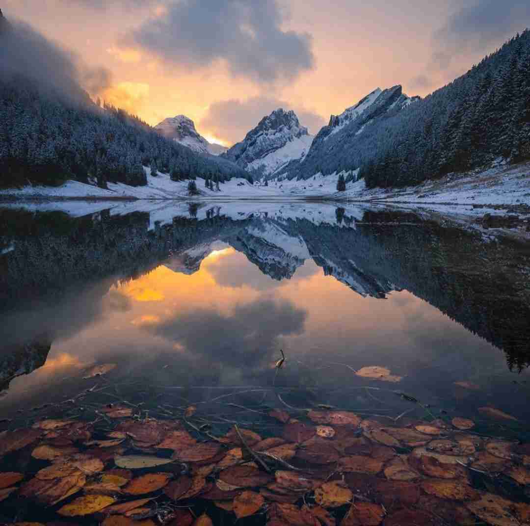  اصلا آشوب به پا کن بیبی این سیگار بهمن مارو ندیدی