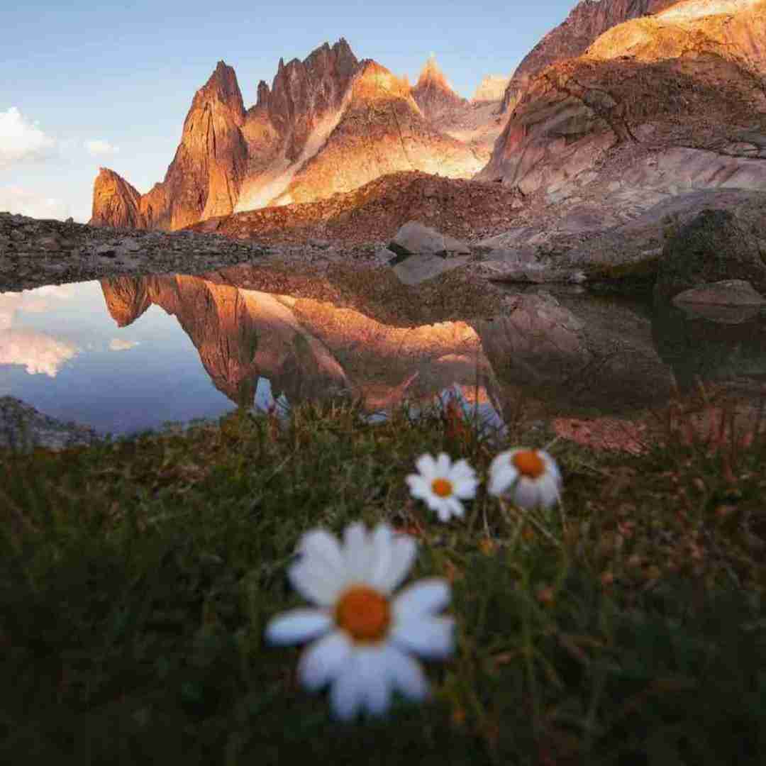 میخوام از جلسی بمیرم باهات عکس بگیرم