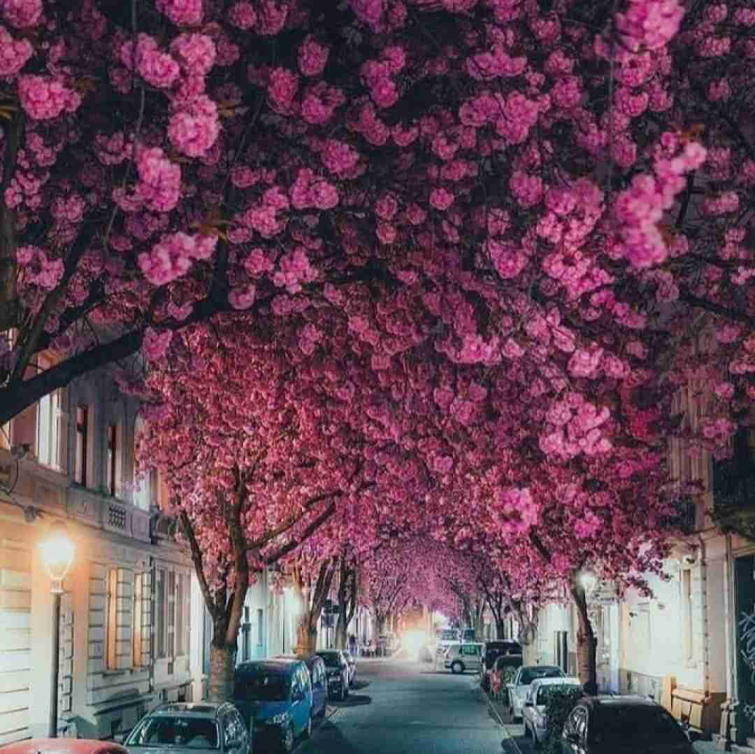 جدیدا همه چی لیمه هر چیزی عیبه