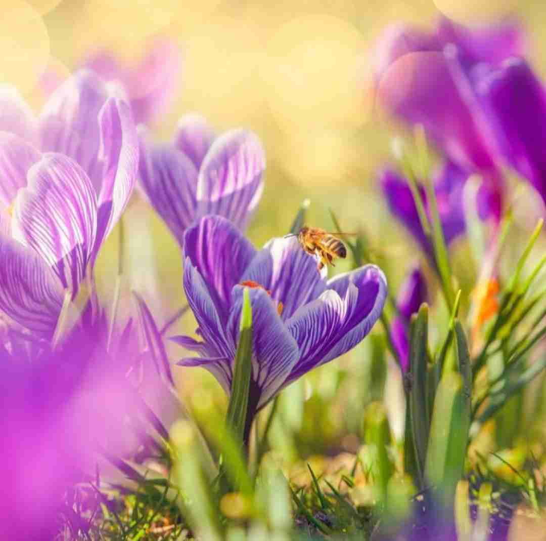  هی صدام کن من بگم جون با صدای بچه