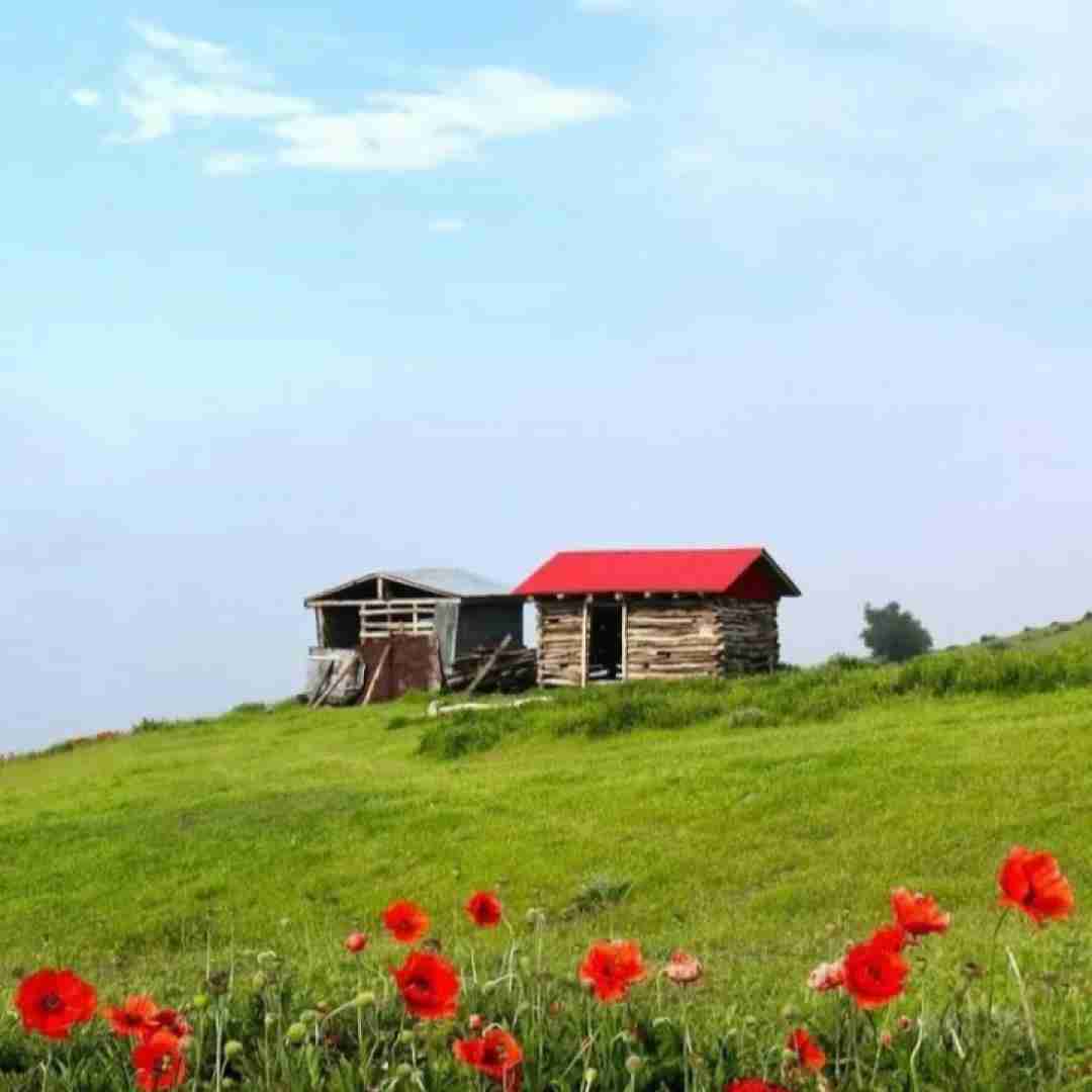  ای شرقی غمگین وقتی آفتاب تورو دید با صدای دختر