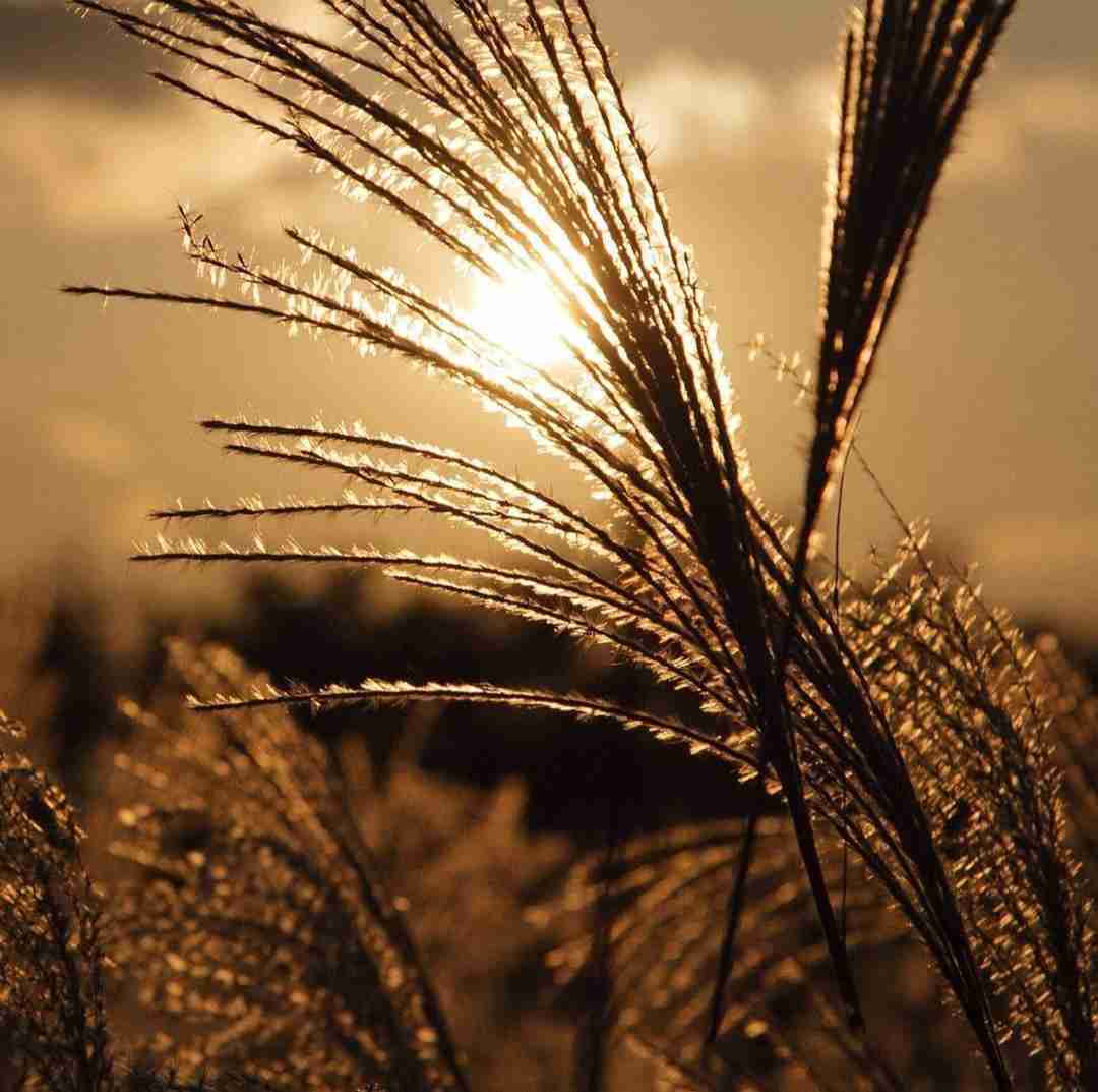  نمیدم بات فرصتو از دست حتی منه کوک زنه
