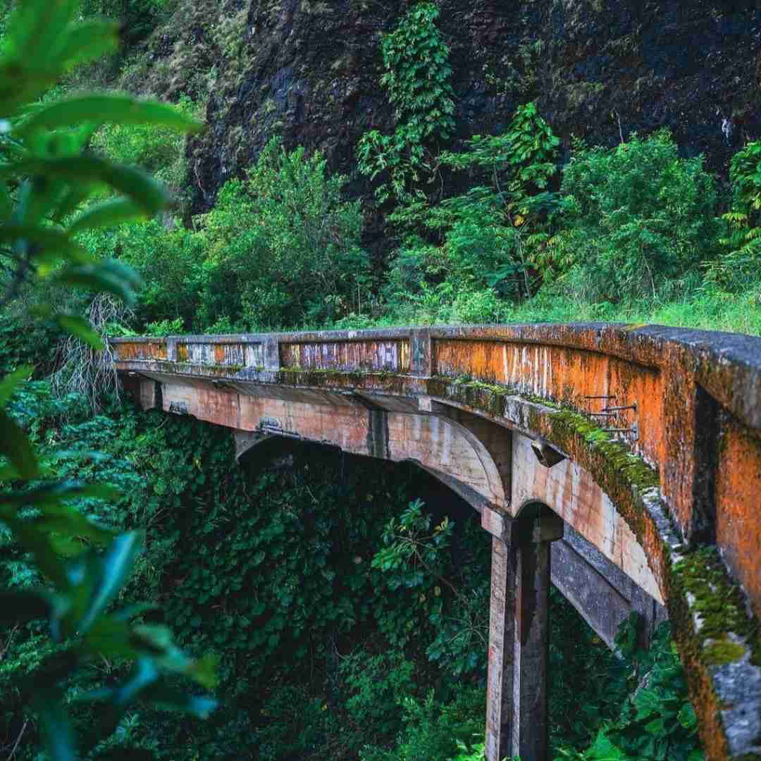 تق و تق هی زدم رو همستر زدم