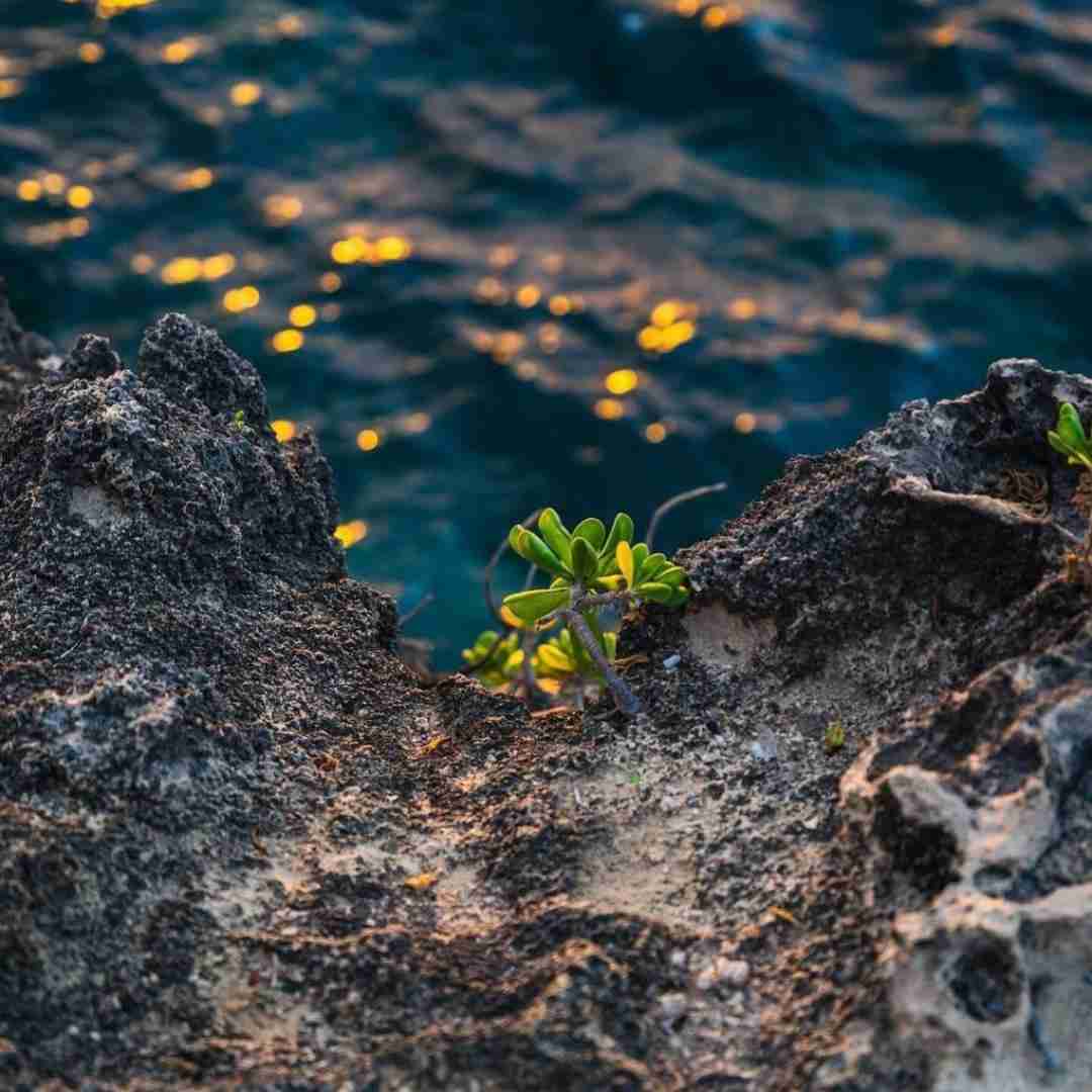 وای اگر آنچه شنیدم راست باشد چه کنم با صدای زن
