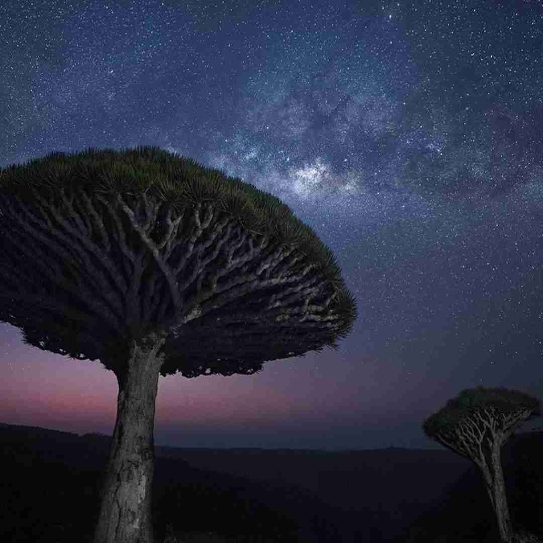  افغانی نشد برای عشقمون برای این دیوانه ات خطر کنی نشد