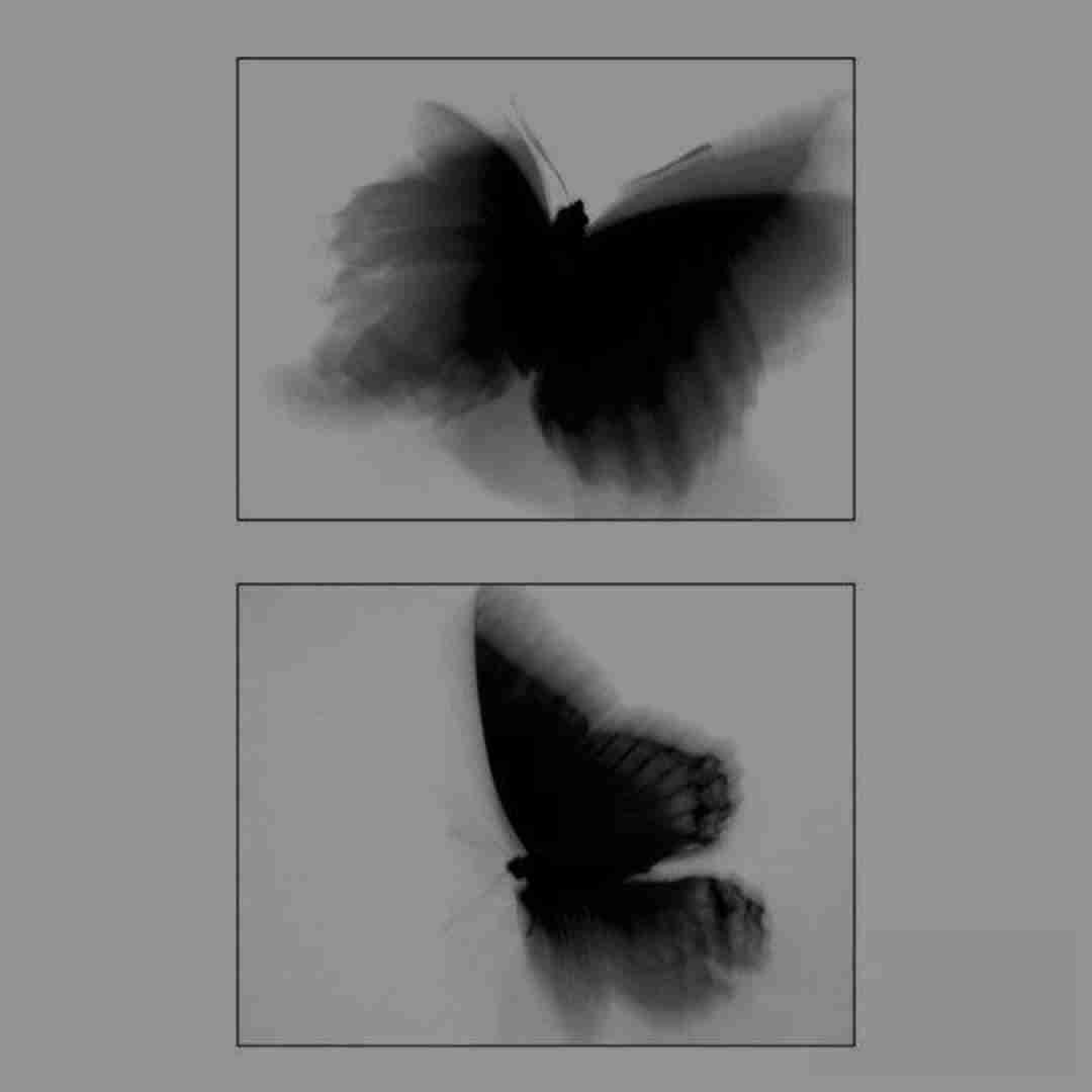  یادت میاد گفتم داستانمون بسته یادته میگفتم