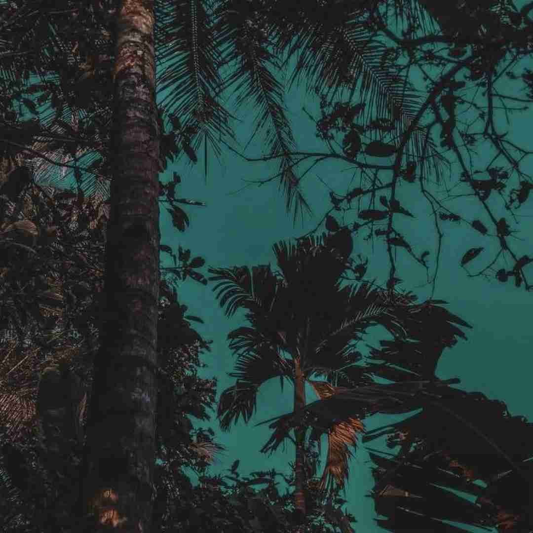  دست چپم بیدر بیدر همسایه ها بیدر بیدر