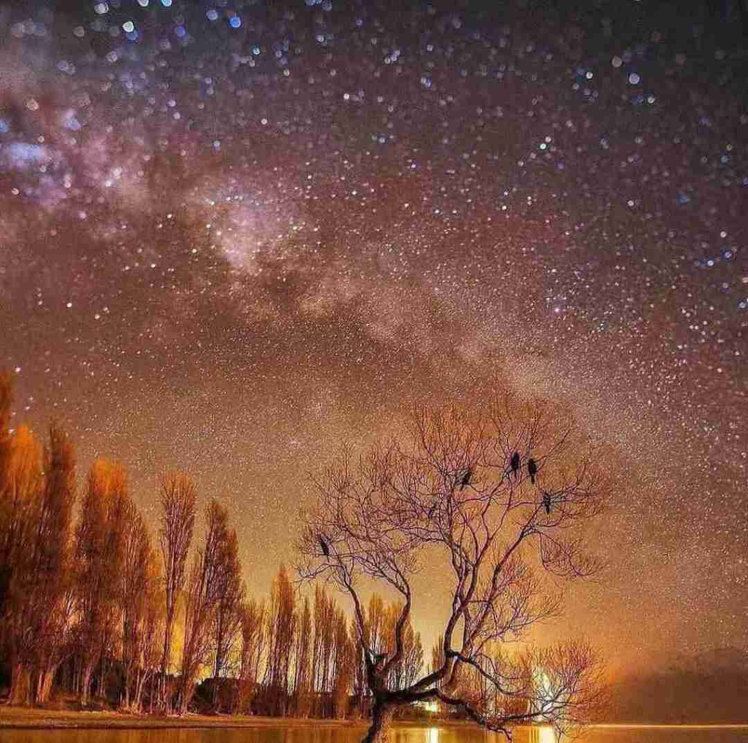  اینستارو نیستم کتابارو آره دبیو نیستم تهرانو آره