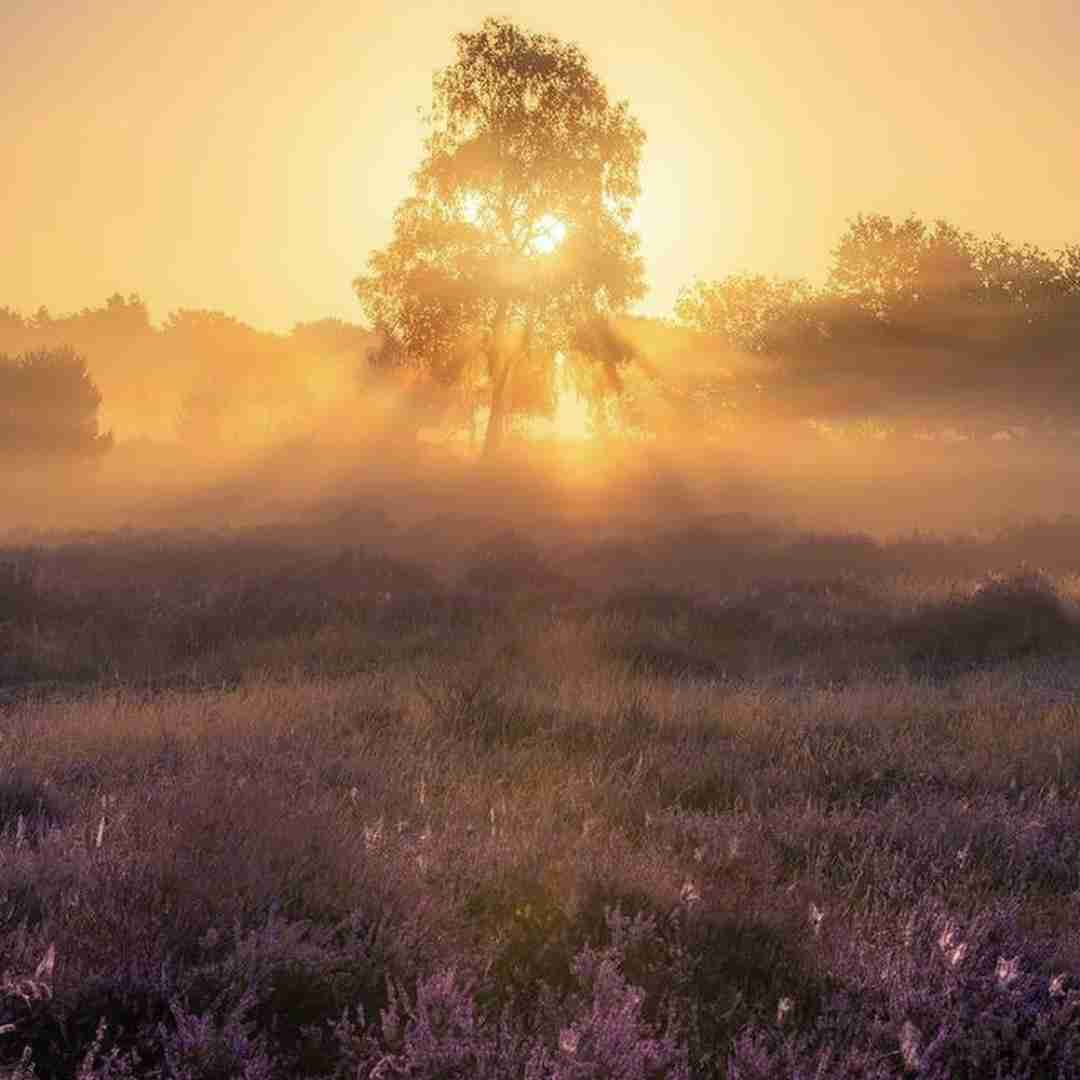  میبینم صورتمو تو آینه با لبی خسته
