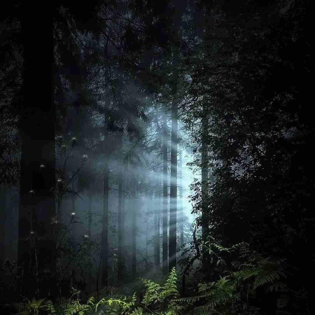 تو که معنای عشقی به من معنا بده ای یار با صدای زن