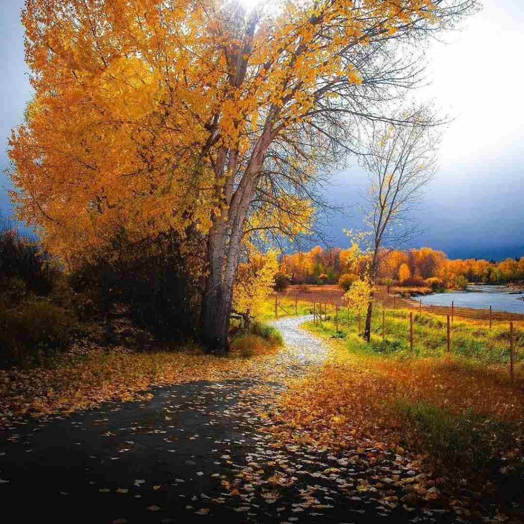  رو به آینه نشستم زخمیه کل دستم