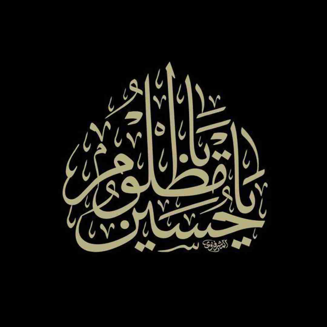 میثم مطیعی مقصد حسین است