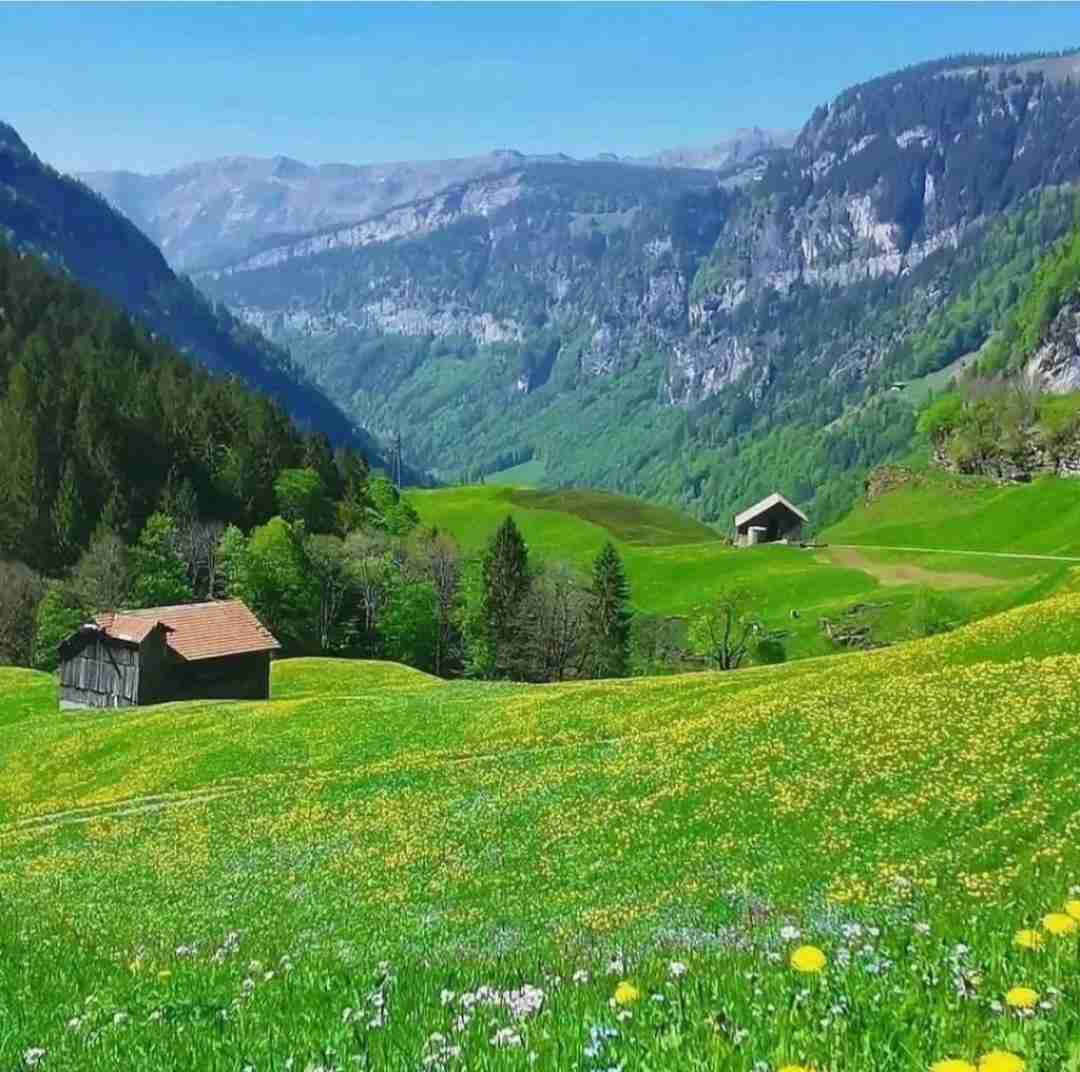  دریا شبیه بغض ما شده با صدای دختر