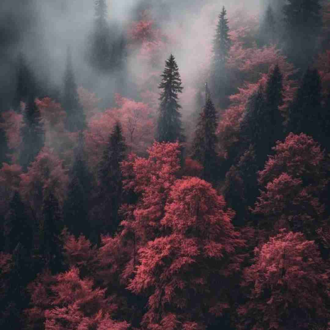  بمیرم من واسه اون دل شکسته با صدای زن ترکیبی
