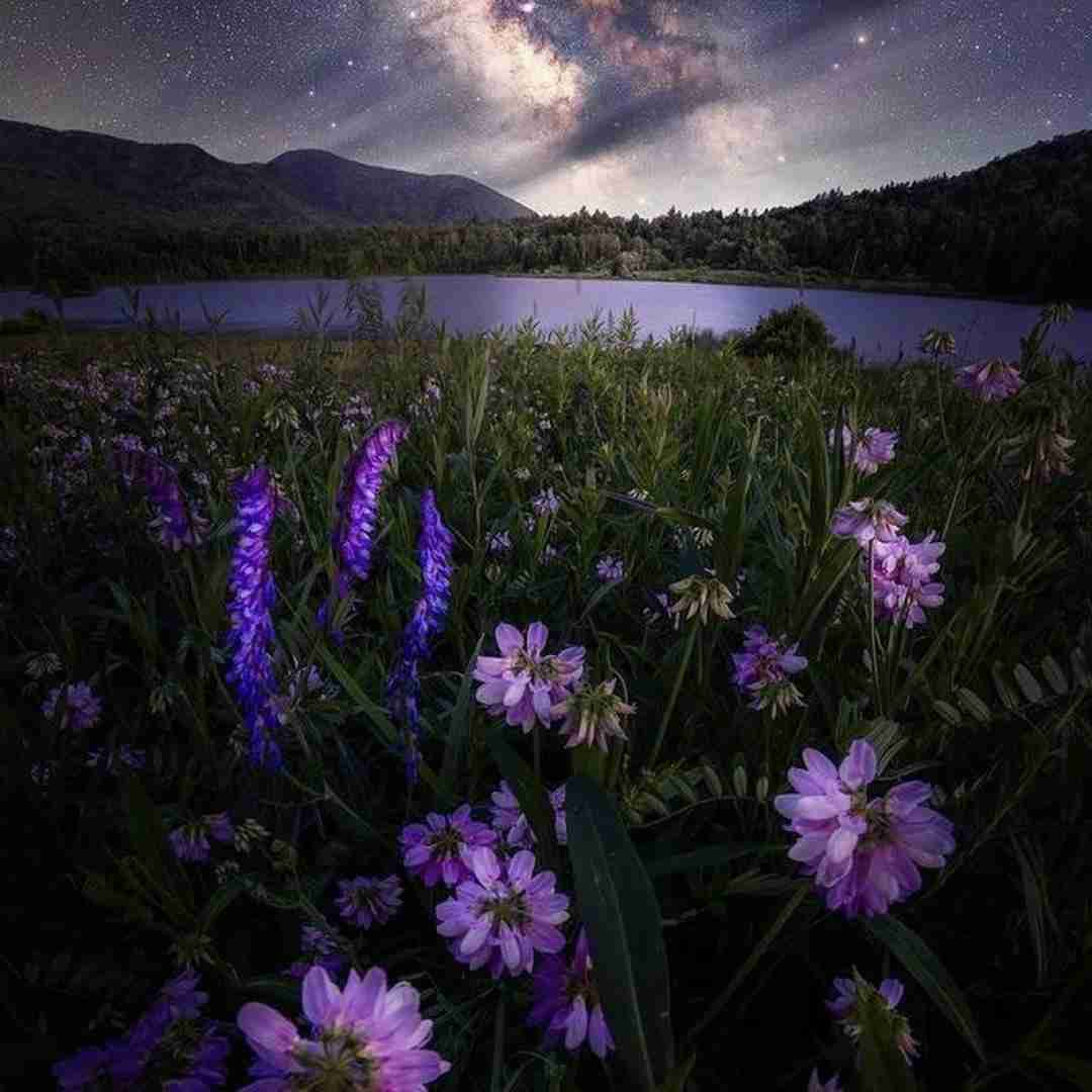  میمردم یه تایمی یه روز نباشی با صدای دختر