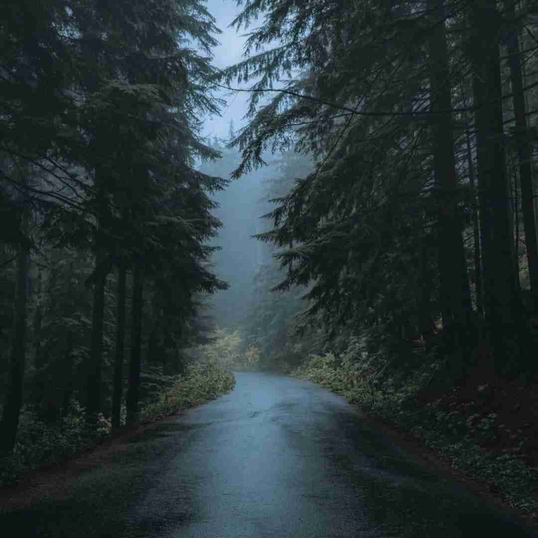  آقا کمک کن برای محرم