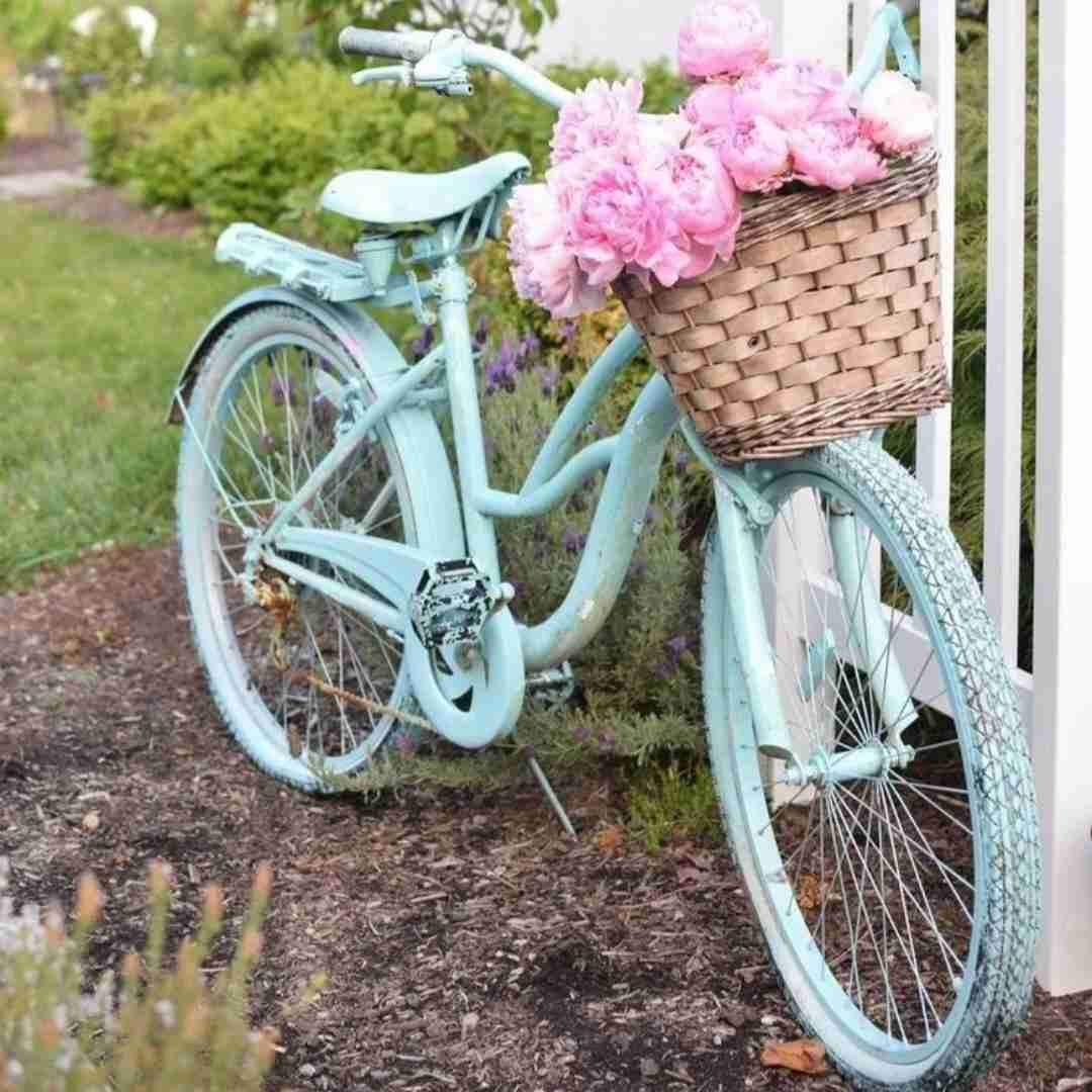  فن پیگیرم اوری دی بسکت میرم ان بی ای