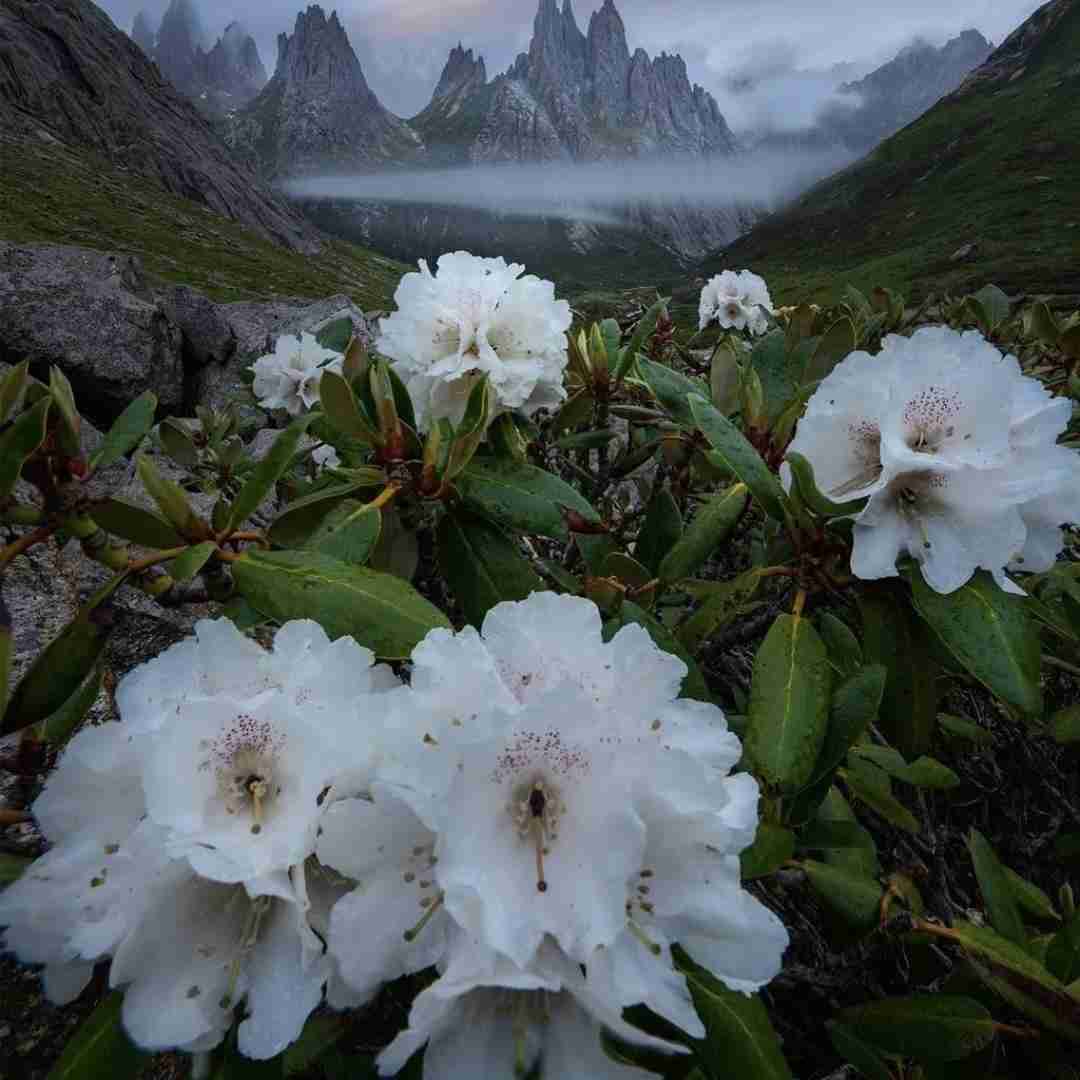 ای کافی اشهد 4