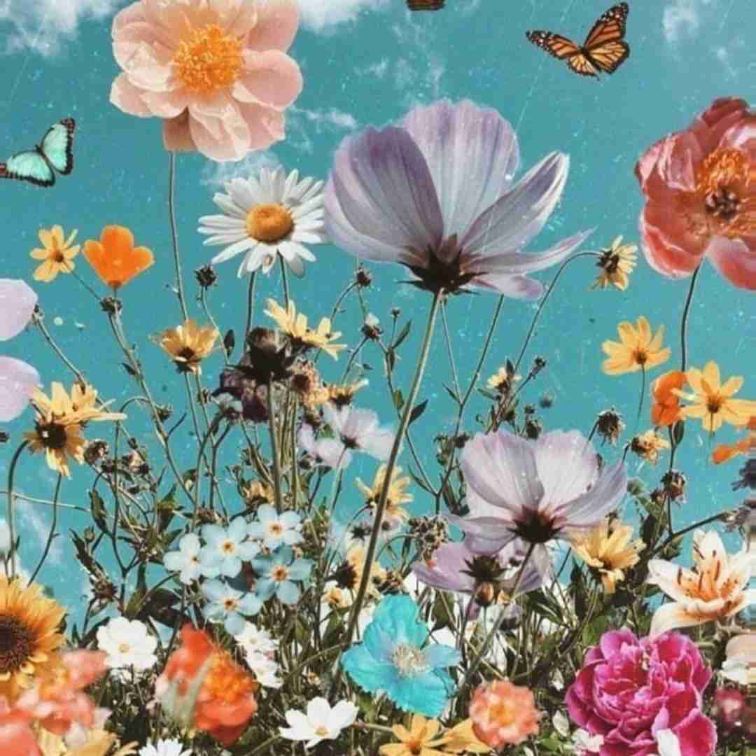  نرگس مست تو از کاسه ی جان مینوشم با صدای مرد