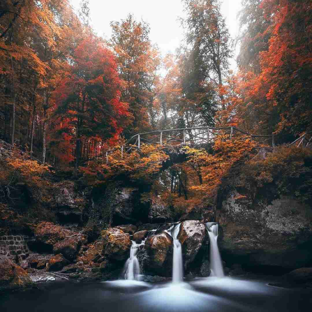  خانواده ام شاه شمالن مثل استارکا