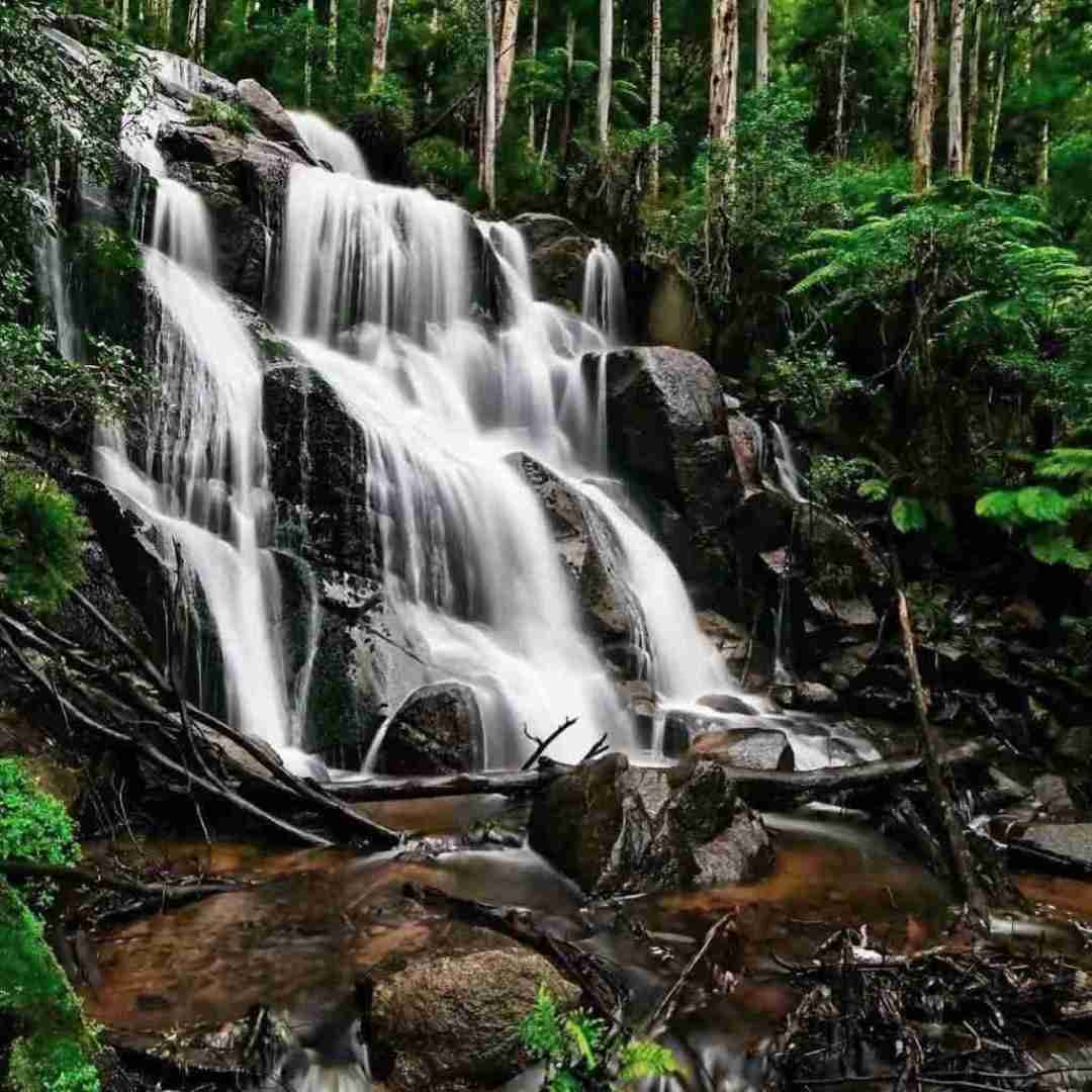  من به فکر خستگی های پر پرنده هام
