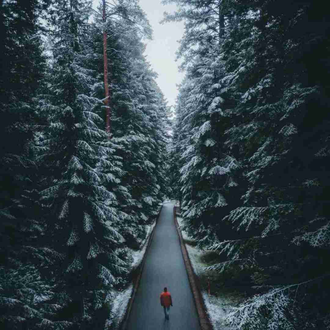  یک دو سه چهار پنج شش هفت هشت با صدای دختر