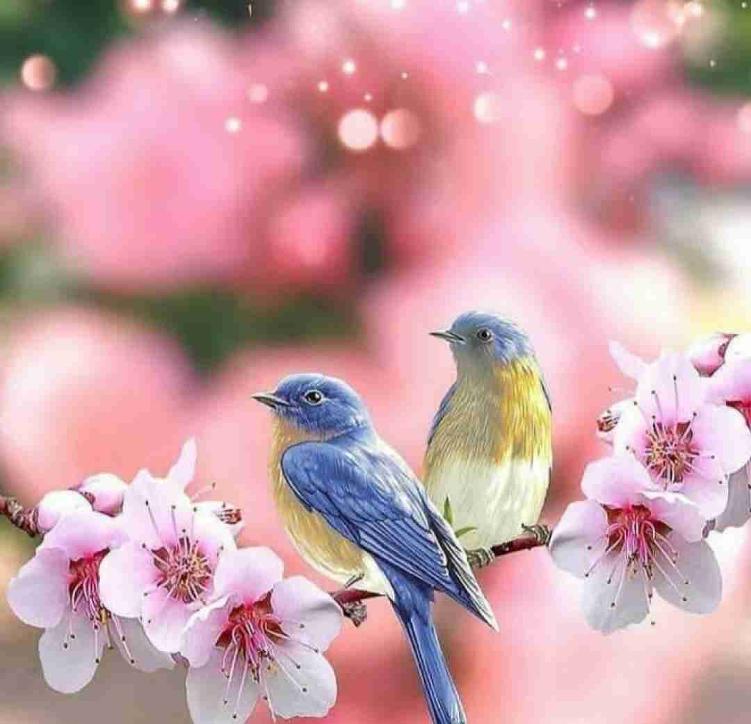  خیالی نیست رد بزن عشقم با صدای پسر