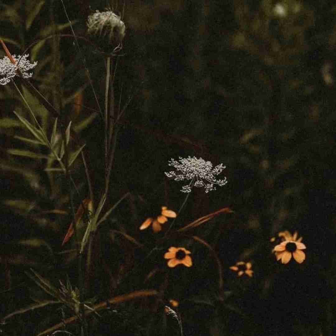  من تو این حال بد پیشمه خاطرت قول میدم