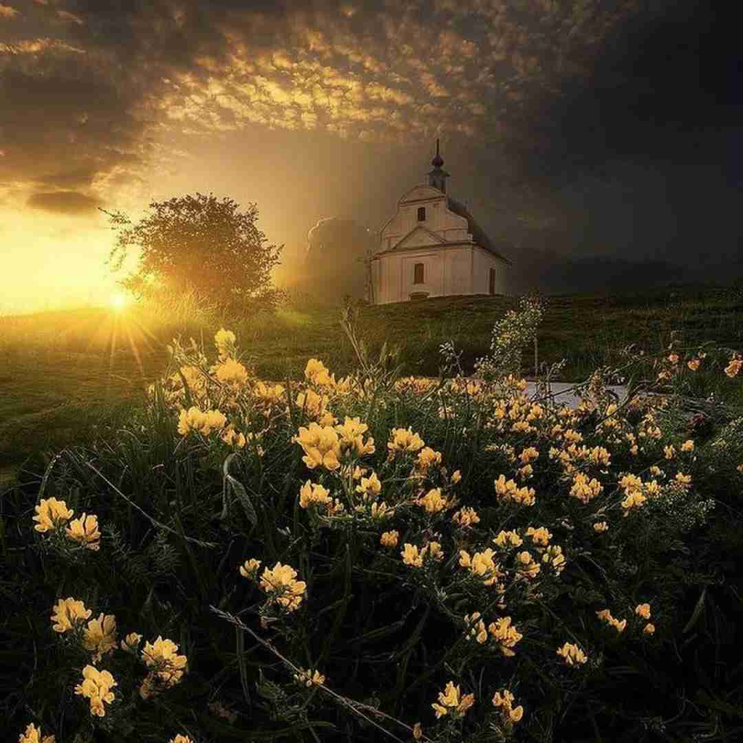 دشی عاقبت روزی مزار سرد من معبد دنجی برایت میشود