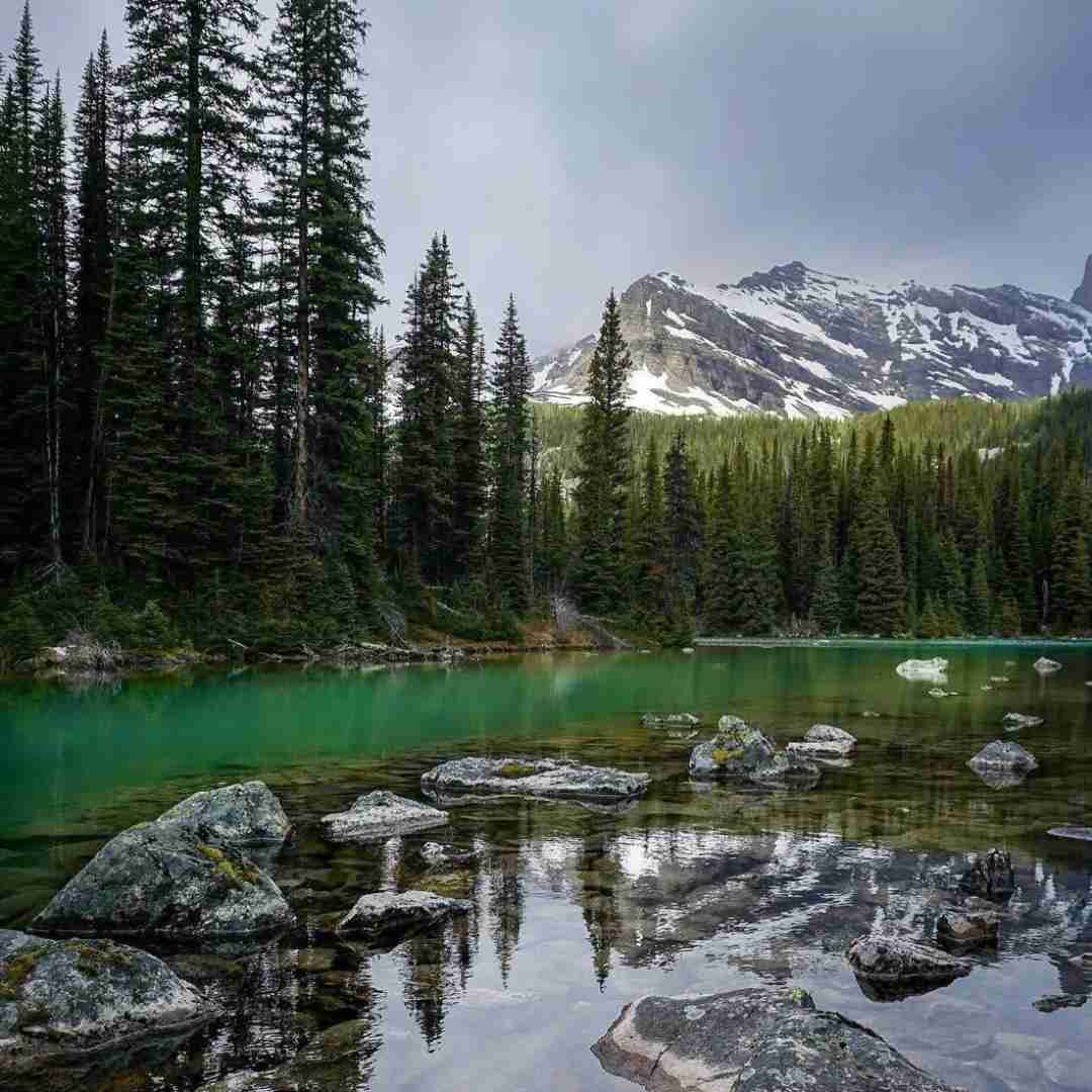  بله رو بگو ای یار عاشقت شدم ای وای با صدای دختر