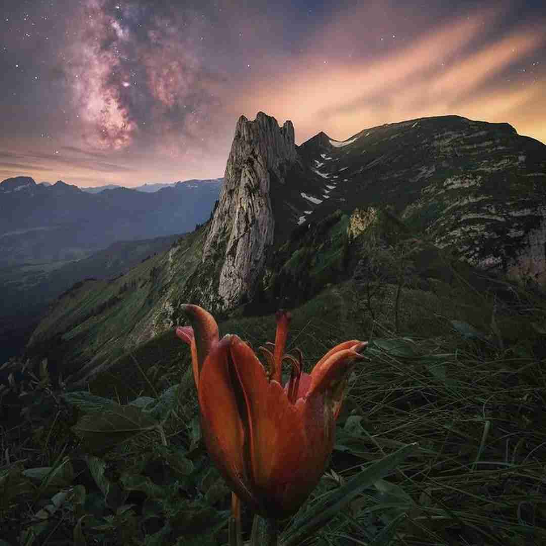  شاید اگر دائم بودی کنارم با صدای پسر اینستایی