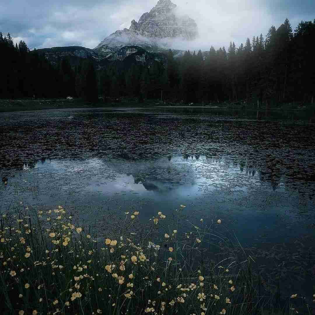 توبه کردم که دیگه اسمی از تو نیارم با صدای پسر