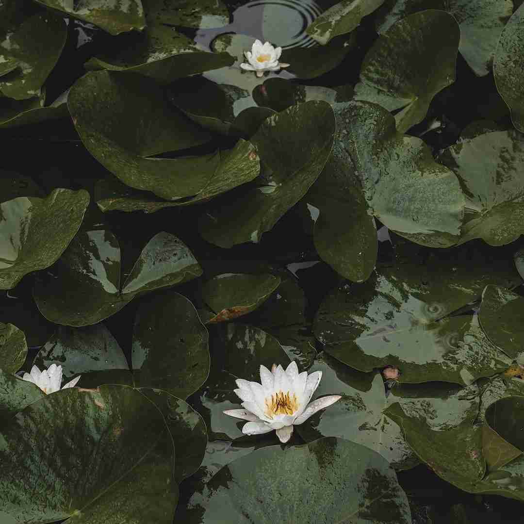  عشقو شادی زندگی آزادی میخوام با صدای دختر