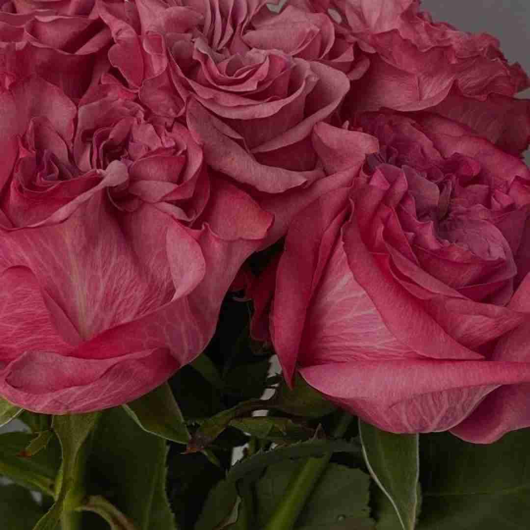  بیا خواهر که درمان و دوایی و طبیبی