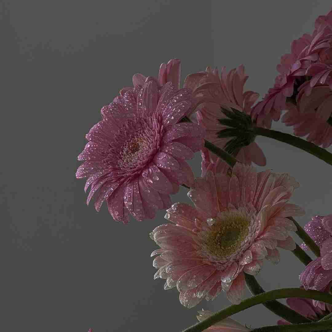  یه شب تو راز مستی تشبیه ماه کردم