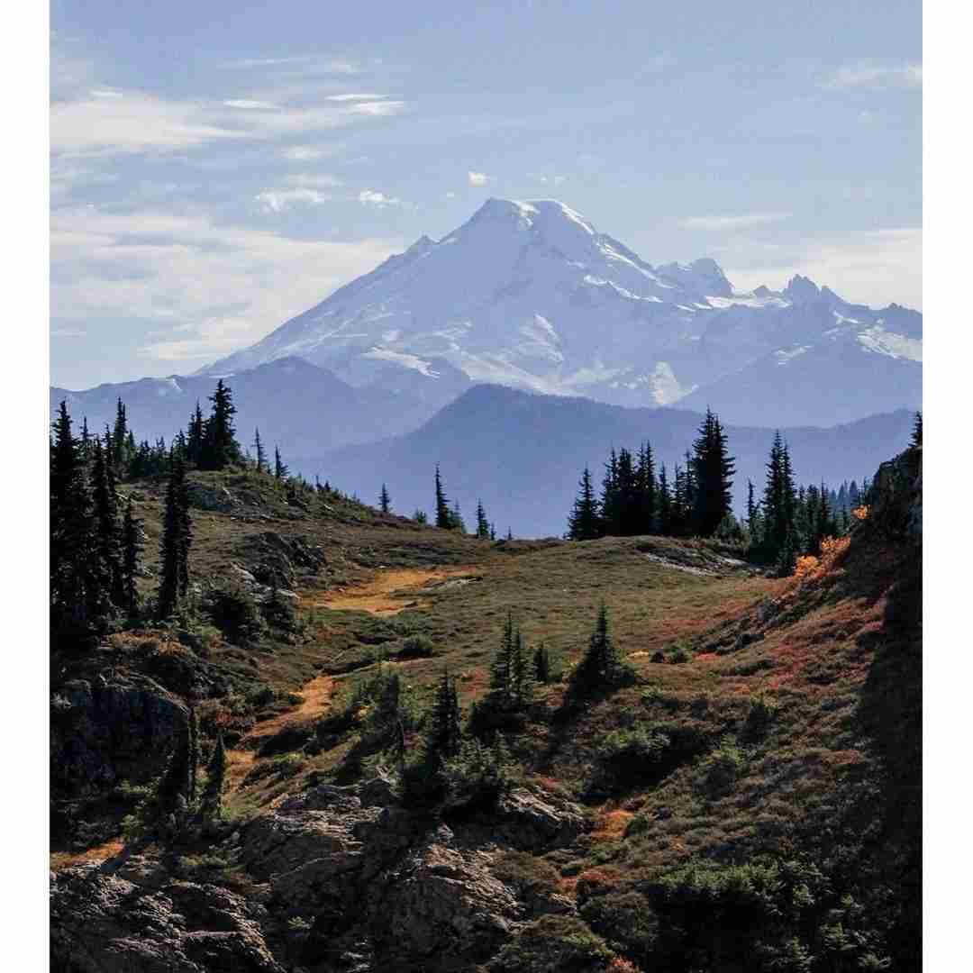  زید بازی دیگه جواب نمیده میپرسین چرا