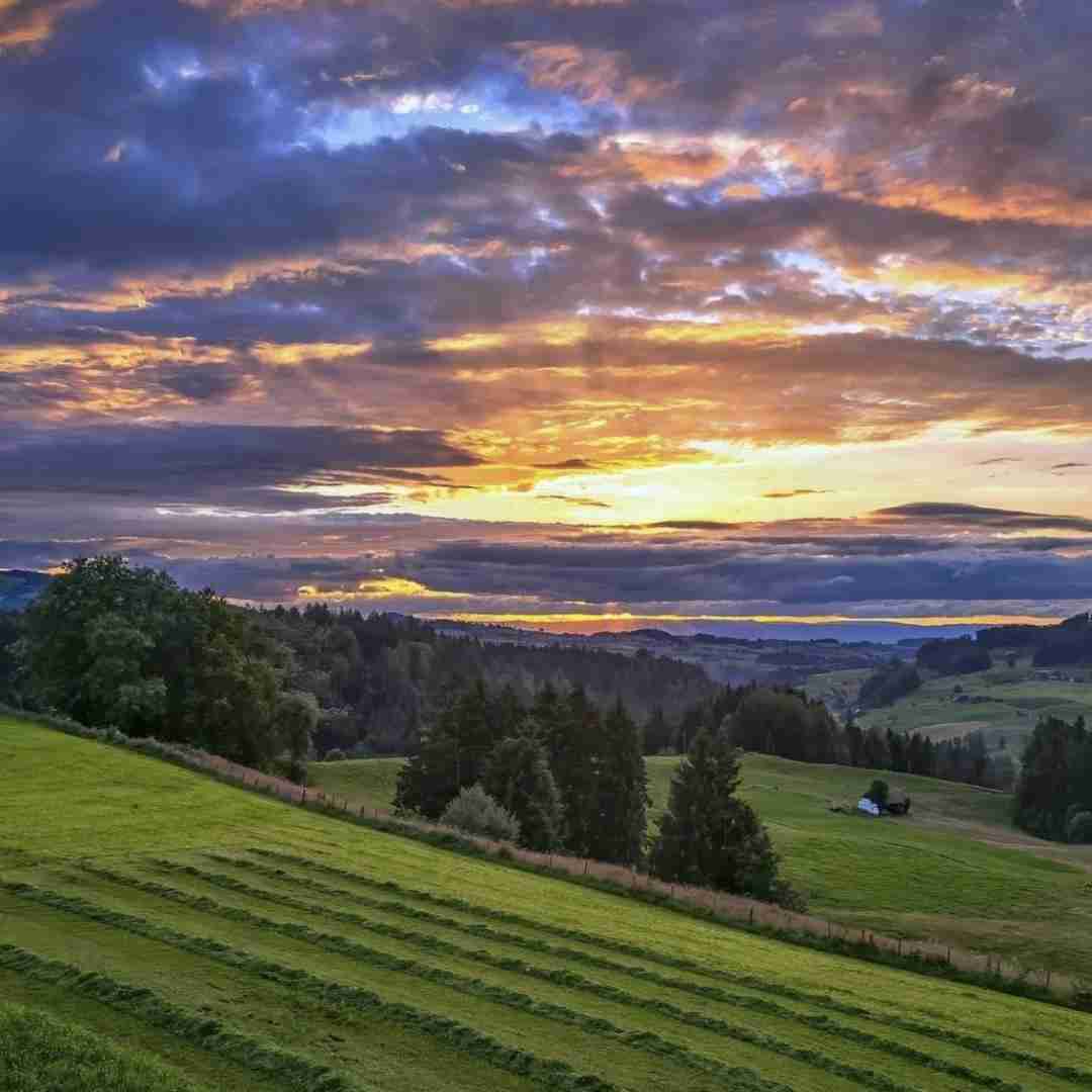 جوانیم به مو رسیده برس به داد این دل با صدای زن