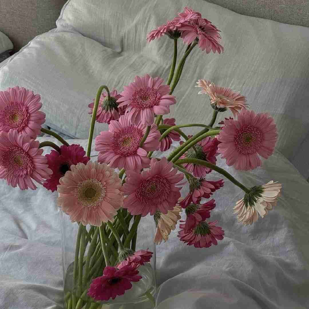  رسیدم خونه مست هر شب از قلبم نپرس