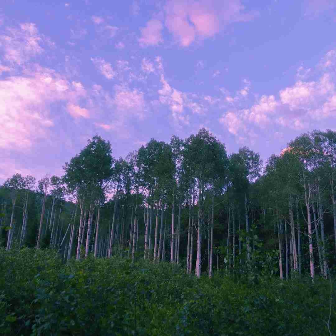 ماهک عشق بی وفا