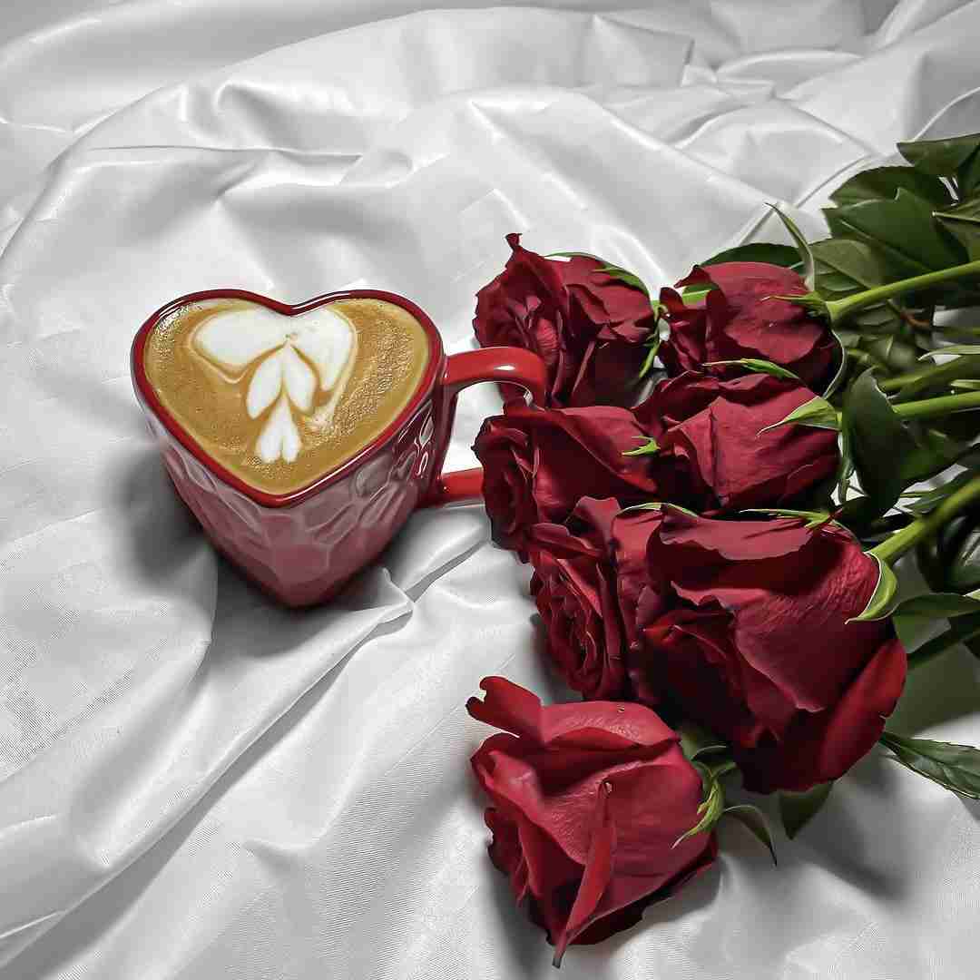 شب بوی تنتو داره نوبت منه دوباره بچینم واست
