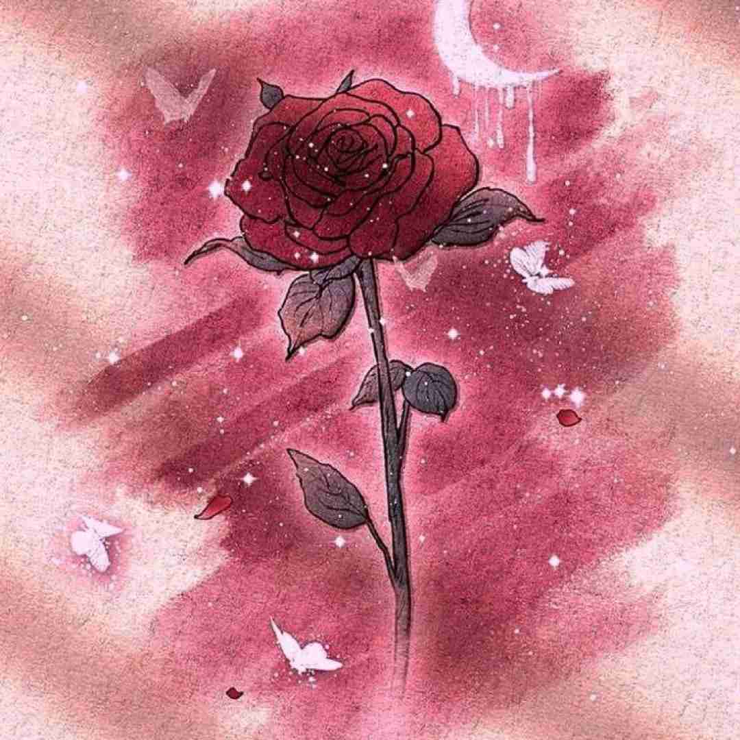  میخوام هر روز به آینه شلیک کنم من نفرین شدم