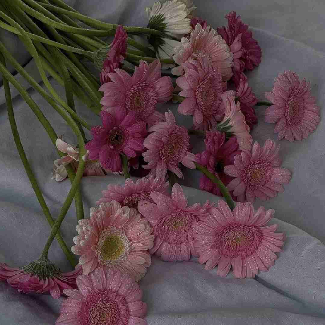  من که لبام عنابیه چشام به رنگ آبیه با صدای دختر
