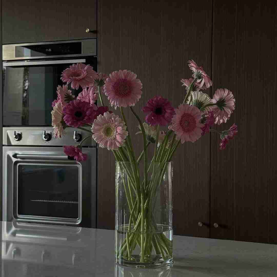  بالاست پرچم بی برو برگشت با قابلمه