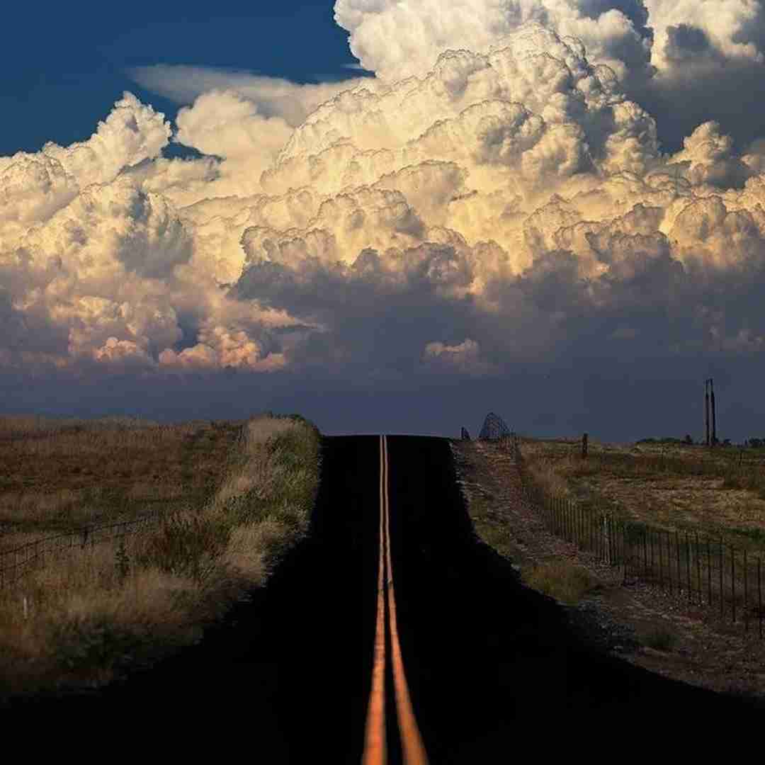  تف به قوم پدری لعنت به قوم مادری - اینستایی