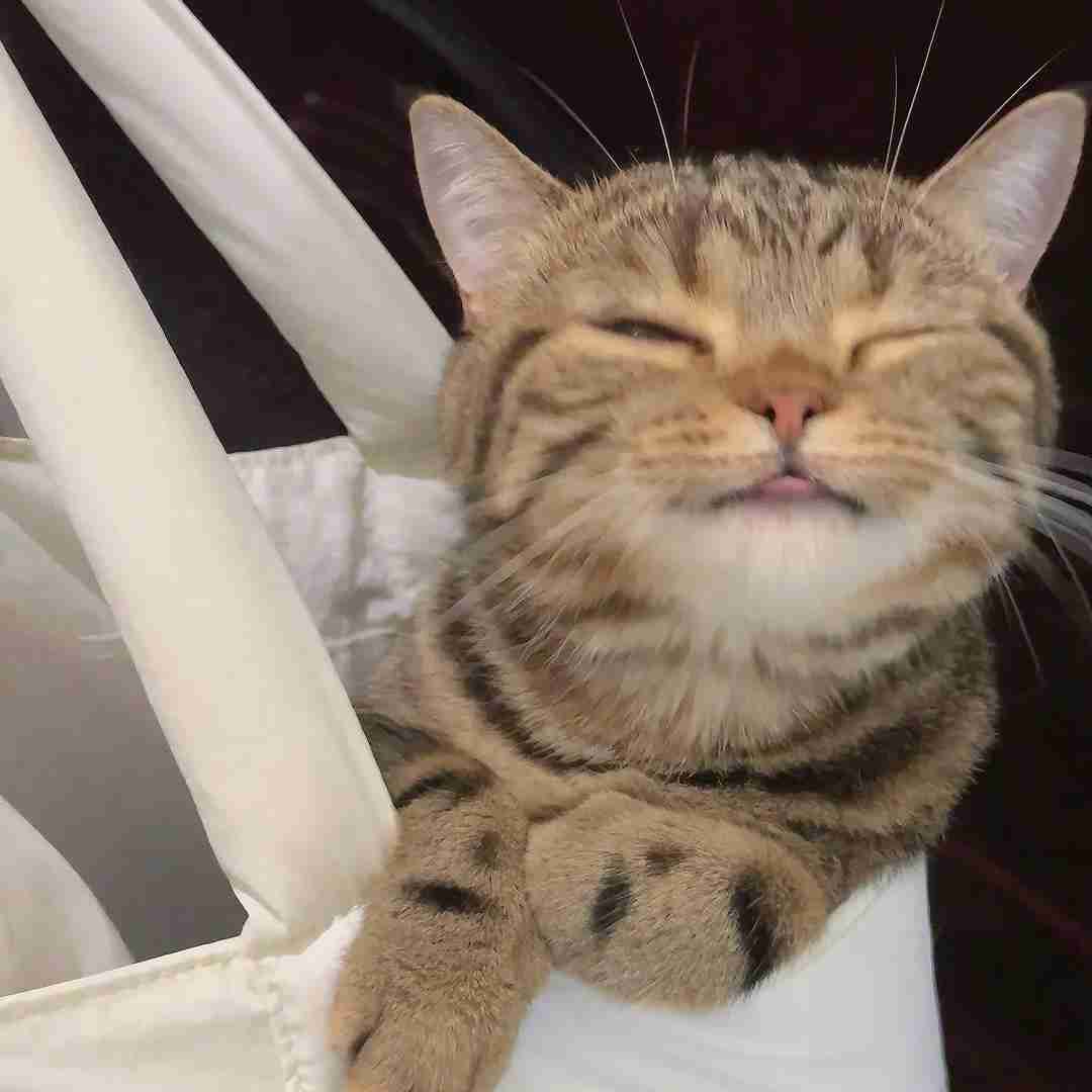  یه بار جوون بودیم نچسبید اونم صدام میگیره