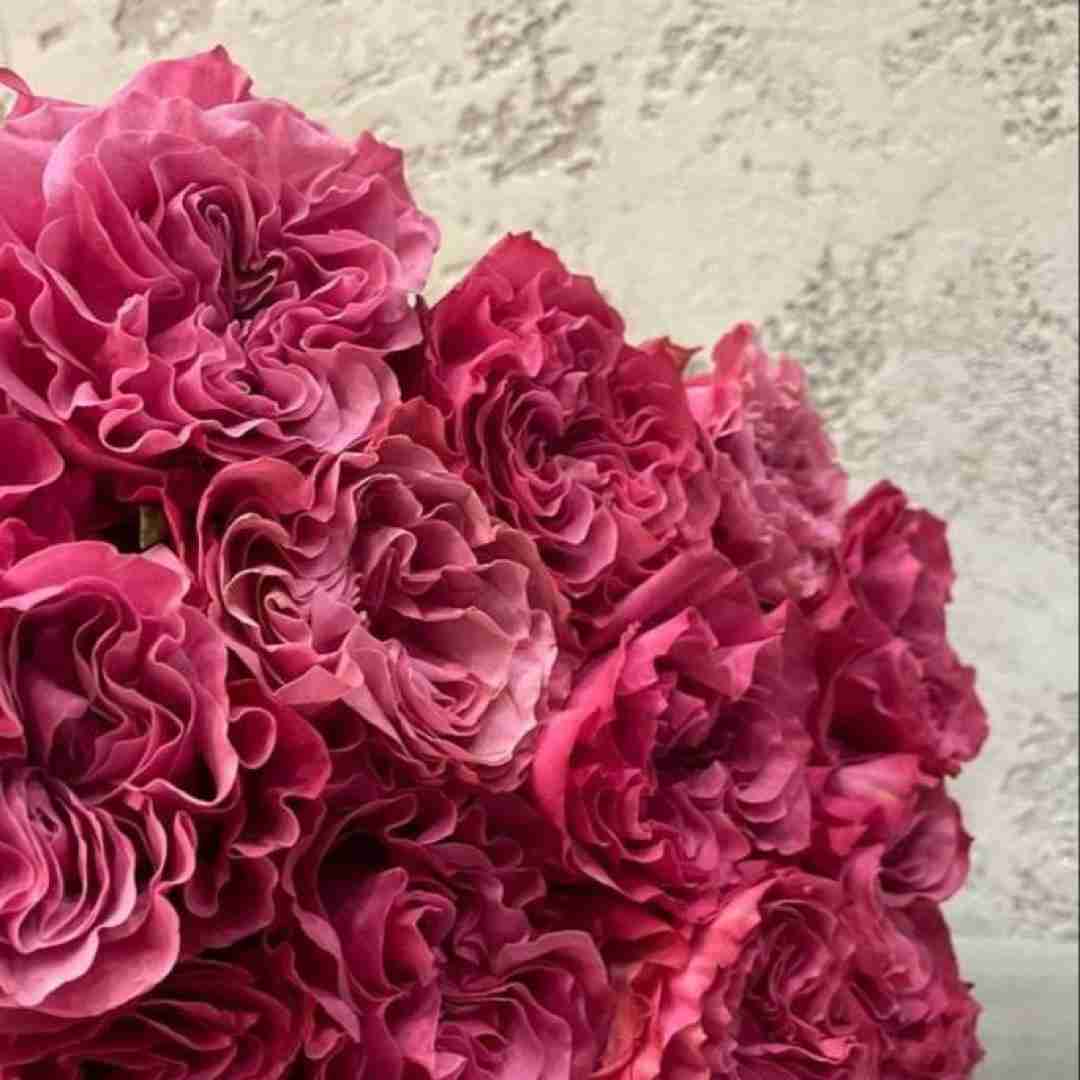  ترکی عاشقم من دنیای من تویی تو با صدای دختر