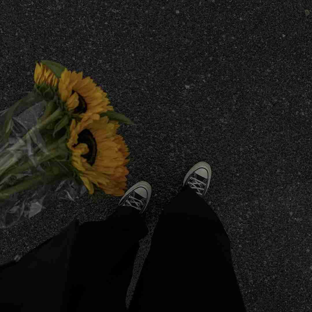 اسی بیت کهنه یار