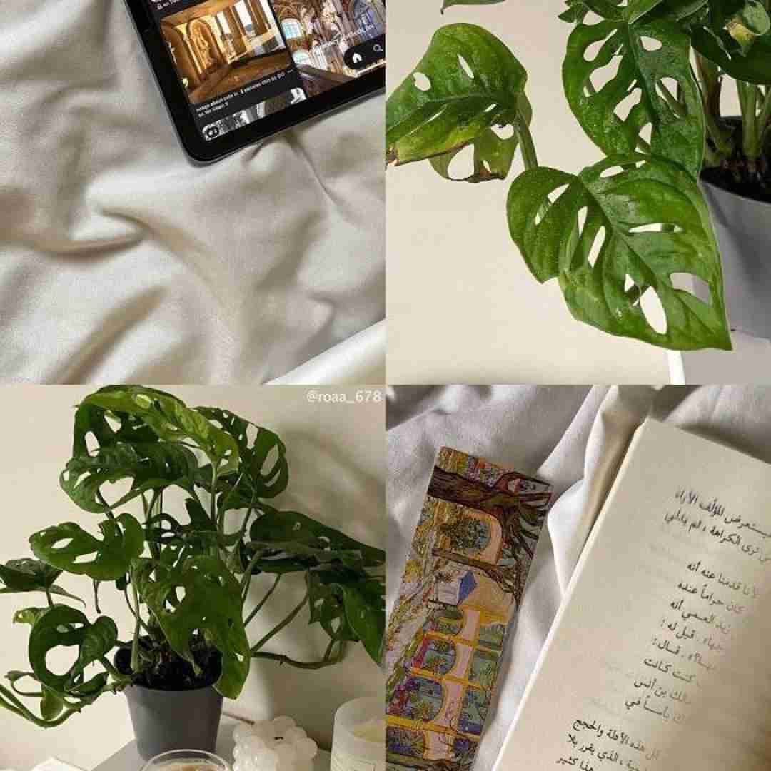  عباس اقا بله عباس جونم جونم
