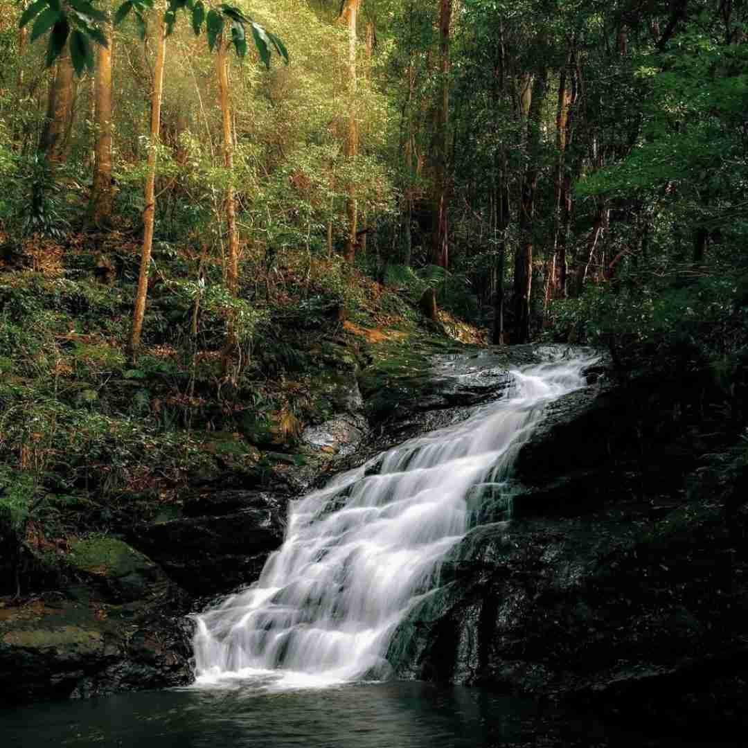 دشی تنگ میشه دلت دیر میفهمی اینو