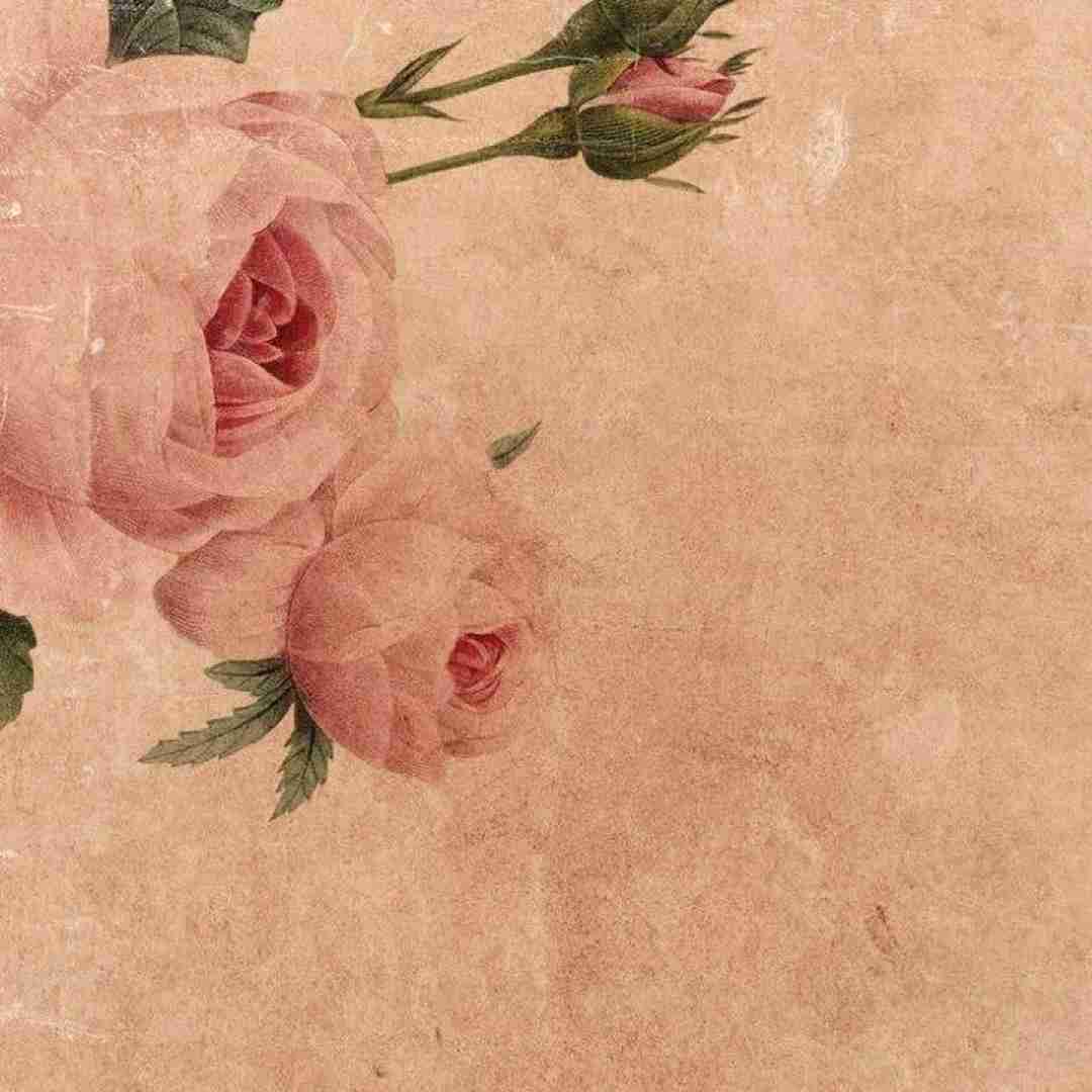  ایران تا چین مست دیدنت پخش شده فیلم رقصیدنت